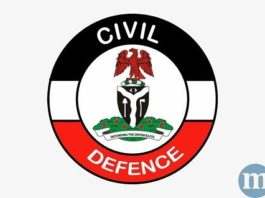 nigeria security and civil defence corps nscdc logo