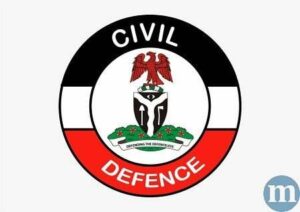nigeria security and civil defence corps nscdc logo