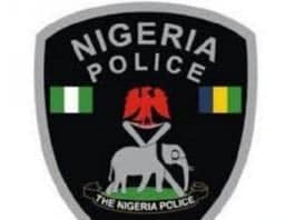 Nigerian Police Salary Structure Ranks