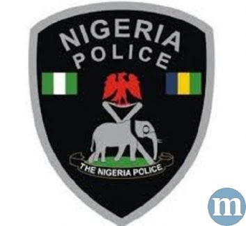Nigerian Police Salary Structure Ranks