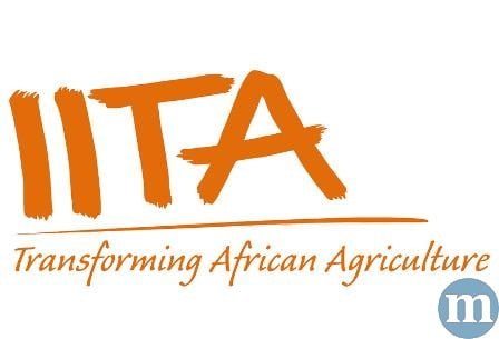 International Institute of Tropical Agriculture (IITA) Recruitment 2019