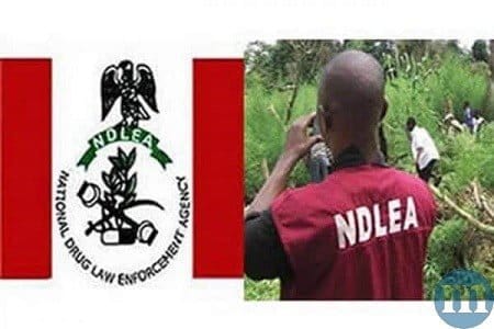 NDLEA Recruitment Latest News On Shortlisted Candidates