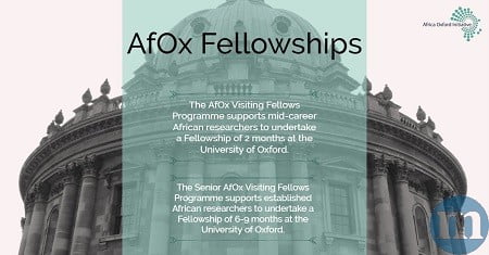 Africa Oxford Initiative Visiting Fellowship