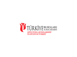 turkiye scholarship