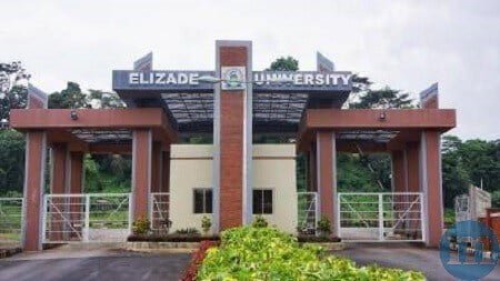 Elizade University