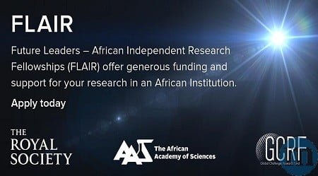 FLAIR Fellowship