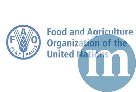 UN FAO Fellows Programme
