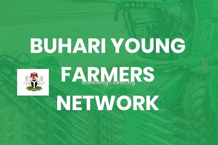 Buhari Young Farmers Network NALDA Recruitment