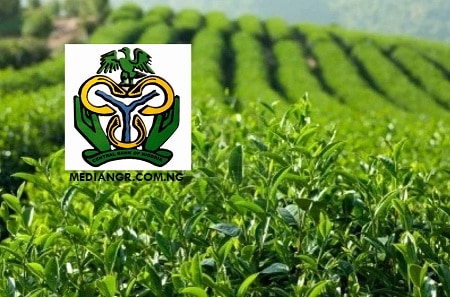 CBN Approves N billion to Fund Cultivation of Nine Commodities