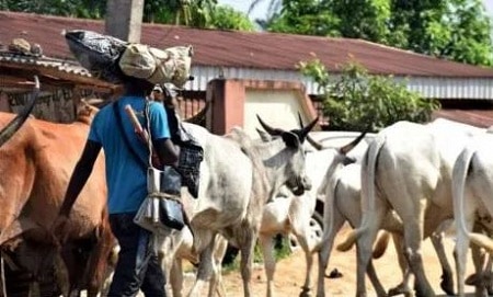Herdsmen