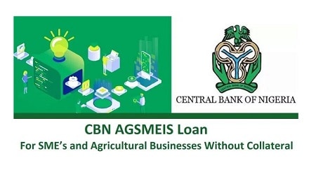 How to Access CBN AGSMEIS Loan For SMEs and Agricultural Businesses