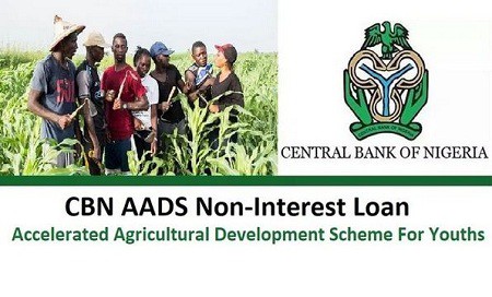 CBN Accelerated Agricultural Development Scheme AADS Loan