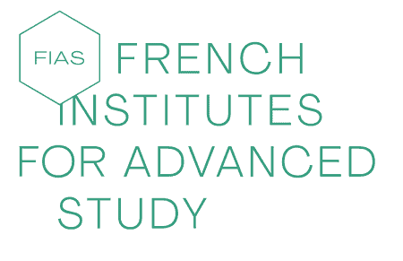 French Institutes for Advanced Study Fellowship Programme