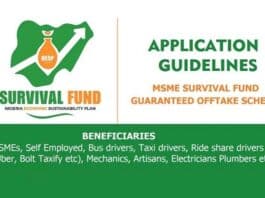 How to Apply FG NBn MSME Survival Fund Application Form Portal