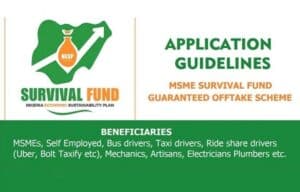 How to Apply FG NBn MSME Survival Fund Application Form Portal