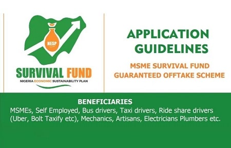 How to Apply FG NBn MSME Survival Fund Application Form Portal