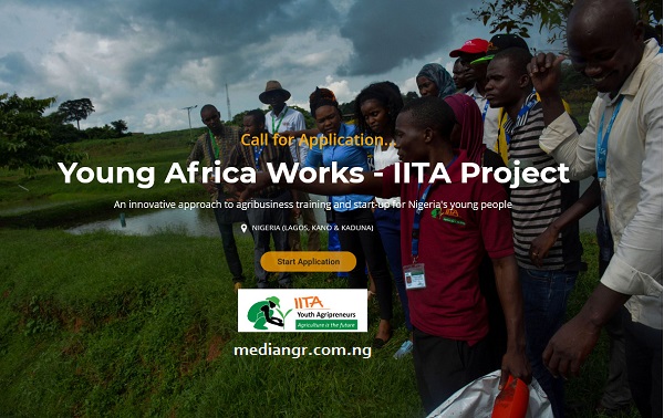 IITA Youth Agripreneurs Young Africa Works Registration Portal