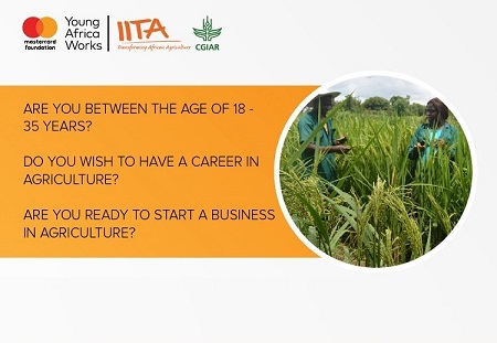 Young Africa Works IITA Project