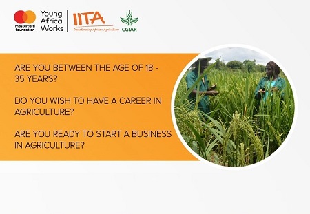 Young Africa Works-IITA Project 2026 – How to Apply