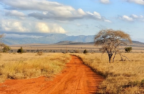 British Ecological Society Grant for Ecologists in Africa