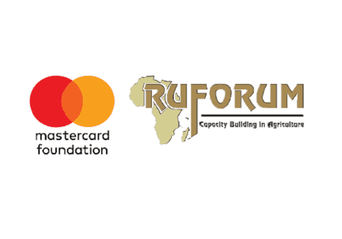 Mastercard Foundation RUFORUM Scholarships