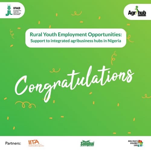 IITA/IFAD Agrihub Nigeria Project List of Successful Applicants