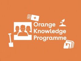 Orange Knowledge Programme Scholarships for Short Courses