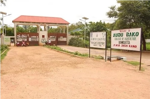 Audu Bako College of Agriculture ABCOA