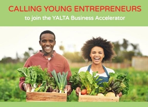 YALTA Business Accelerator 2021