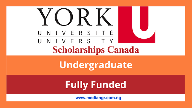 York University Faculty of Science International Student Entrance Scholarship
