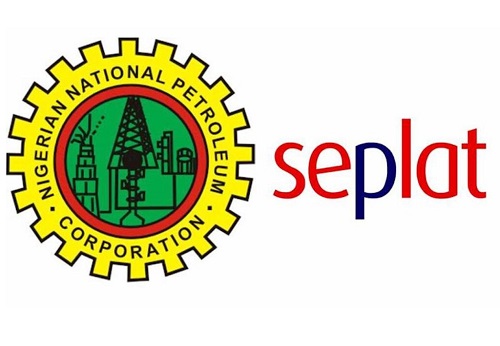 NPDC SEPLAT Undergraduate Scholarship