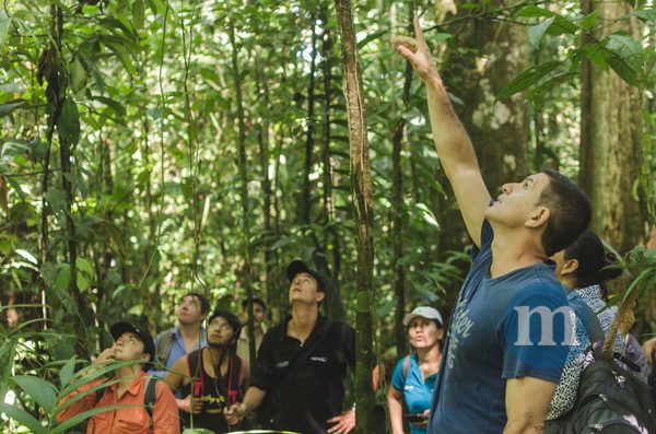 ITTO Fellowship Program 2026/2027 (Up to $10,000)