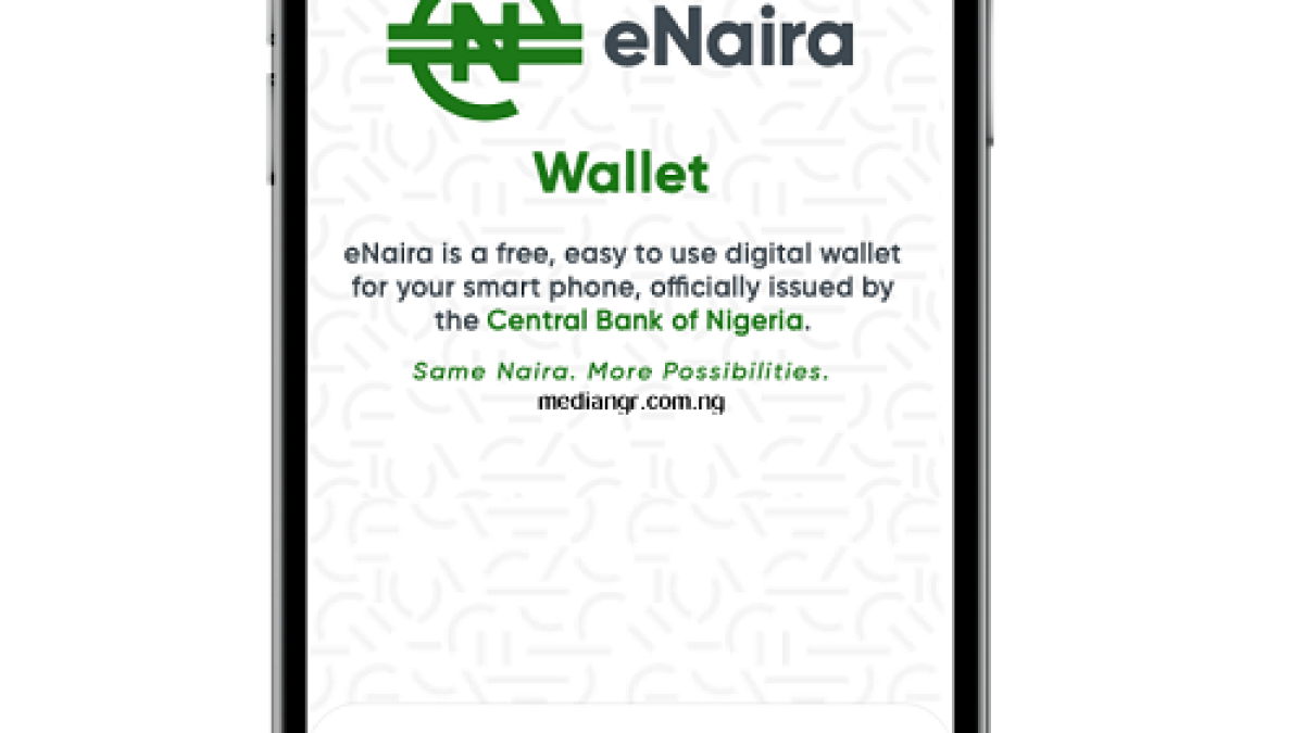 How To Fund Enaira Wallet On Portal Dashboard Mobile App