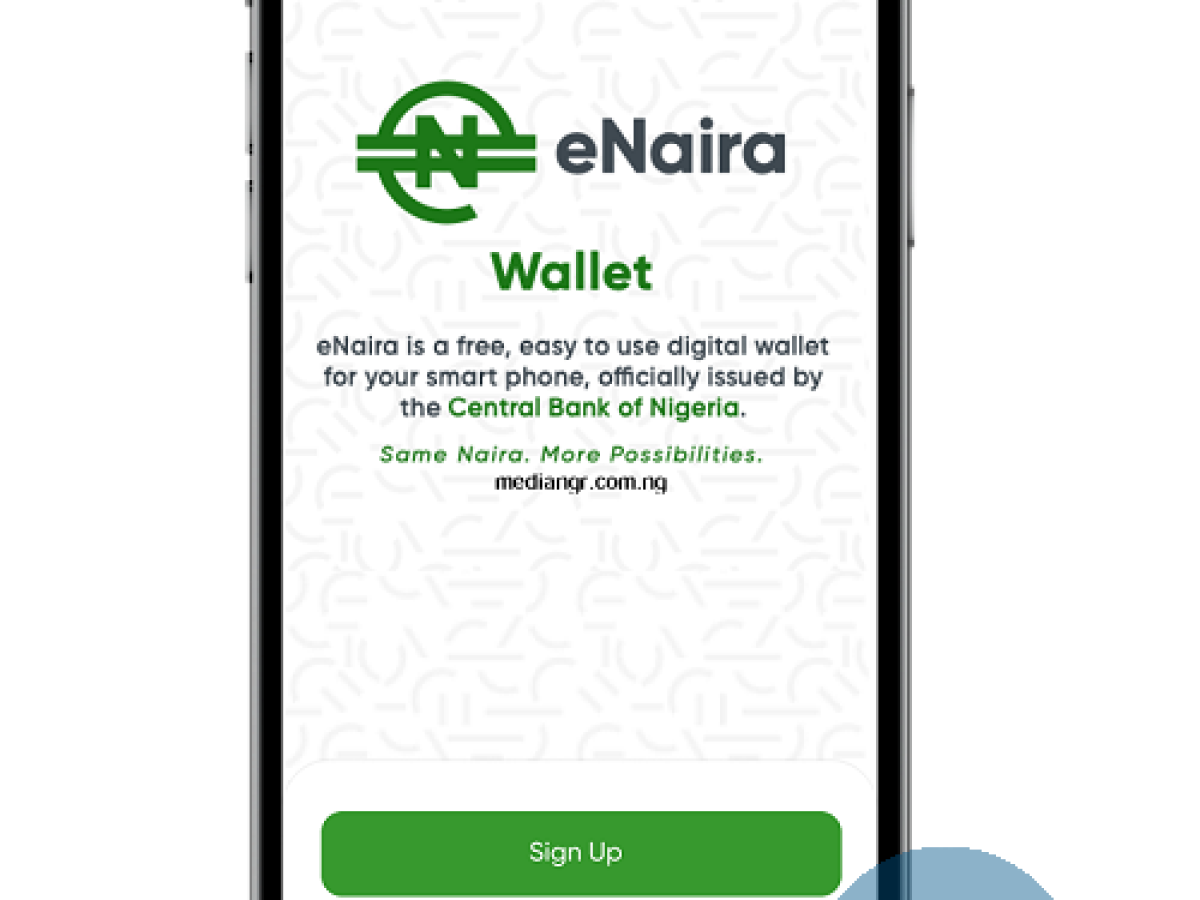 How To Fund Enaira Wallet On Portal Dashboard Mobile App