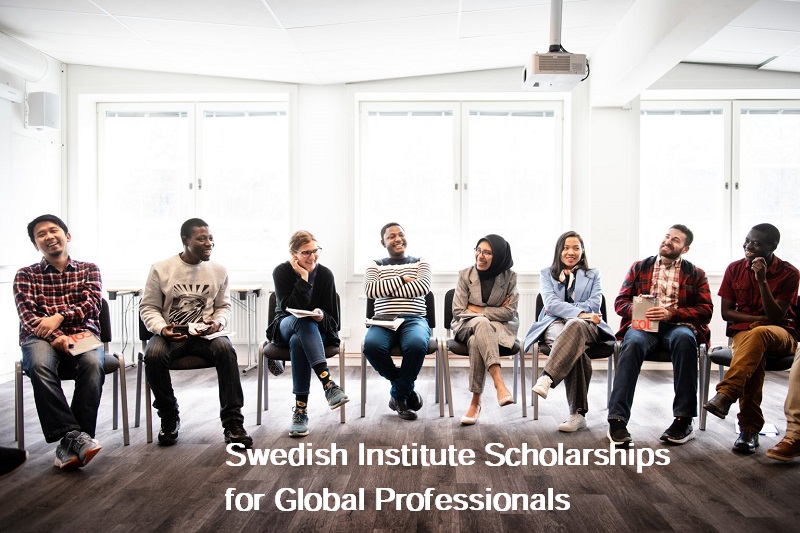 Swedish Institute Scholarships for Global Professionals