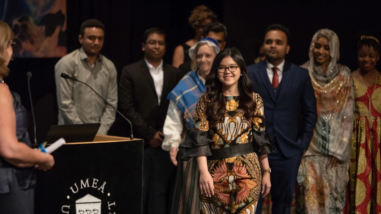 Umeå University Scholarships for Non EUEEA Students