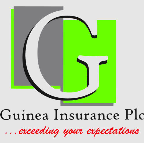 Guinea Insurance Graduate Trainee Scheme