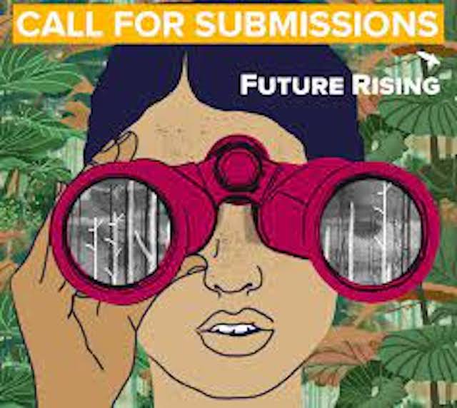 Future Rising Fellowship for Young Change-makers ($5,000 stipend)
