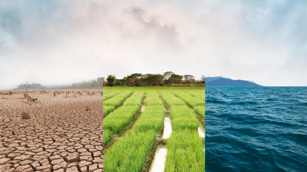 Climate Tracker Earth Journalism Network Masterclass on Climate and Water 2022