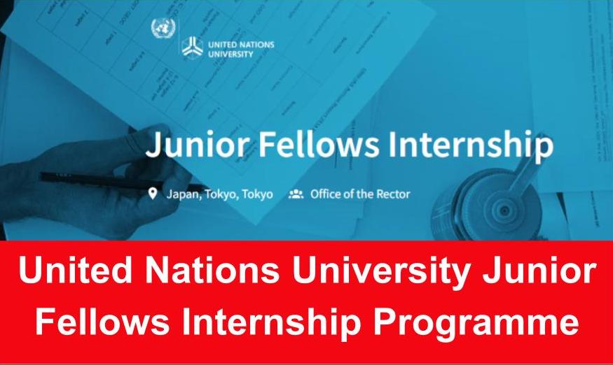 United Nations University Junior Fellows Internship Programme 2022