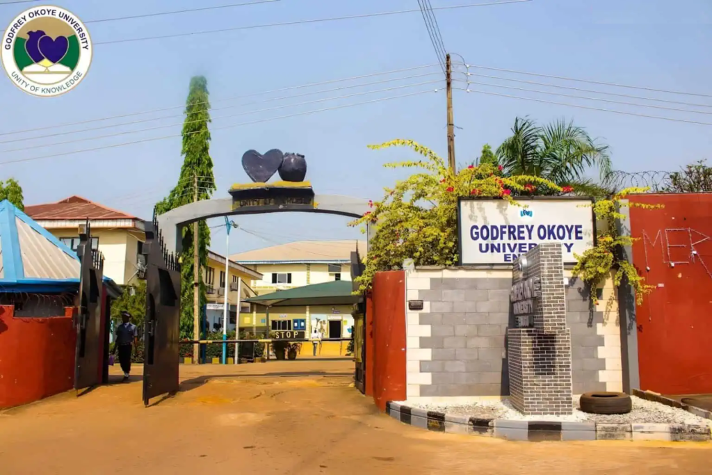 Godfrey Okoye University School Fees Outline 2023/2024