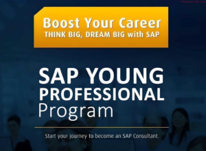 Sap Nigeria Young Professional Program 2023