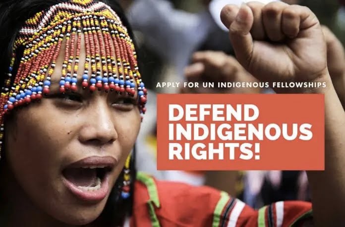 Ohchr Indigenous Fellowship Program 2024