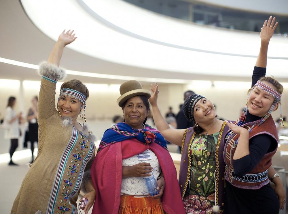 OHCHR Indigenous Fellowship Program 2024 — Mediangr Ohchr Indigenous Fellowship Program 2024