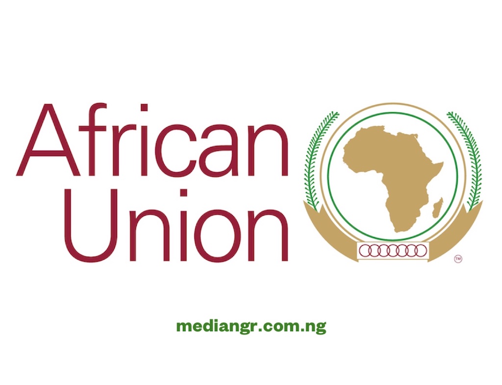 AUDA-NEPAD Young Professionals Programme