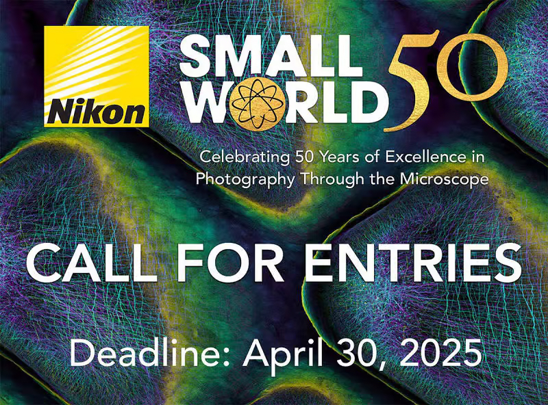 Nikon Small World Competition 2025 (win Up To $3,000)