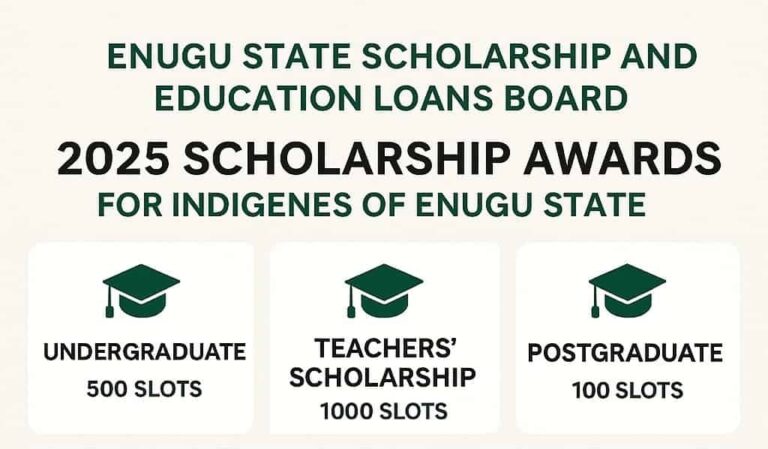 Enugu State Scholarship 2025 | Teachers, Undergrads, Postgrads
