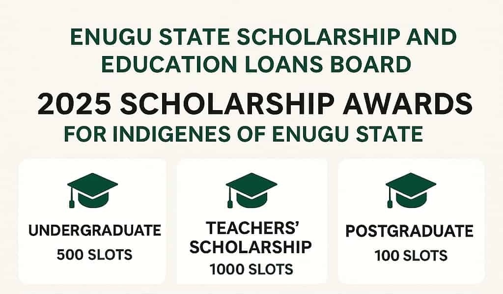 Enugu State Scholarship 2025 | Teachers, Undergrads, Postgrads